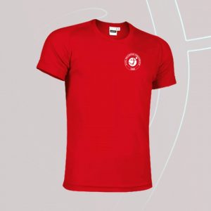 https://www.pallavoloconcorezzo.org/wp-content/uploads/2023/03/T-Shirt-Tecnica-300x300.jpg
